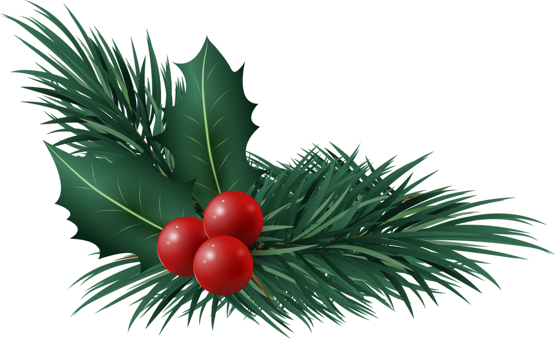 Christmas mistletoe holly berry with pine leaves corner decoration